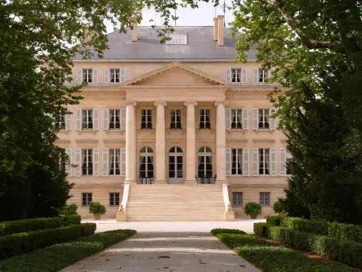 Understanding the Wines of France