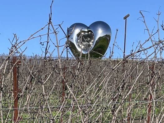 A Visit to The Donum Estate